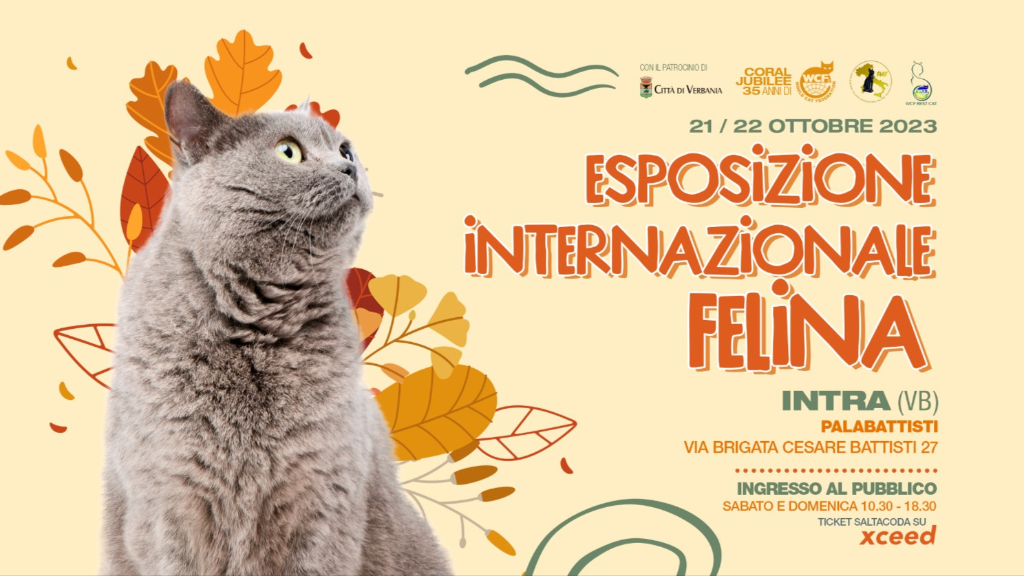 Esposizione Internazionale Felina - Domenica 22 Ottobre image