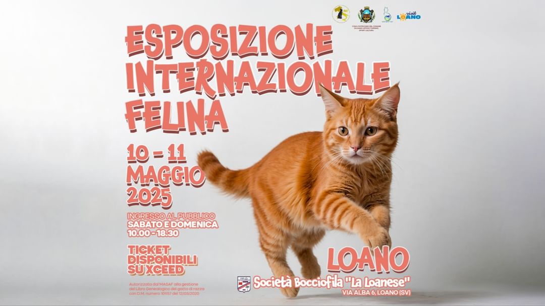 Copertina evento Esposizione Internazionale Felina - Loano