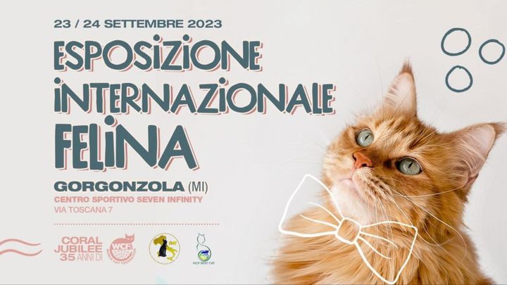 Cover for event: Esposizione Internazionale Felina - Sabato 23 Settembre