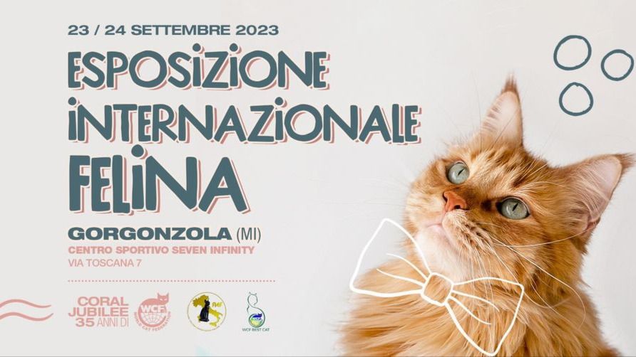 Esposizione Internazionale Felina - Sabato 23 Settembre event cover