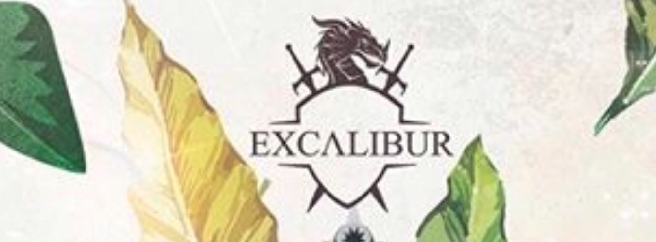 EXCALIBUR image