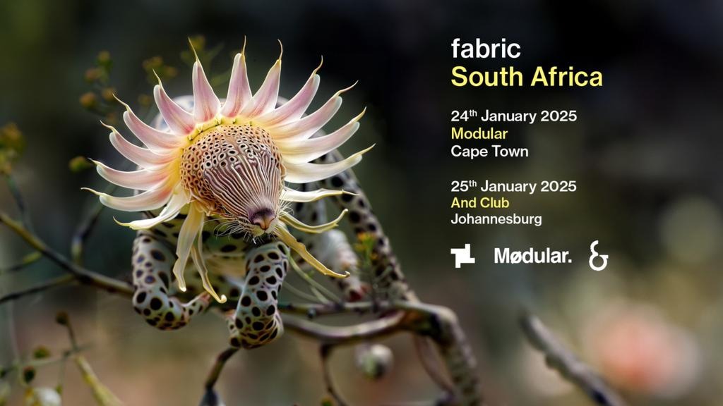 Fabric: South Africa image