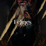 FELINES NIGHT image