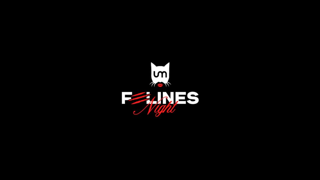 Capa do evento FELINES NIGHT