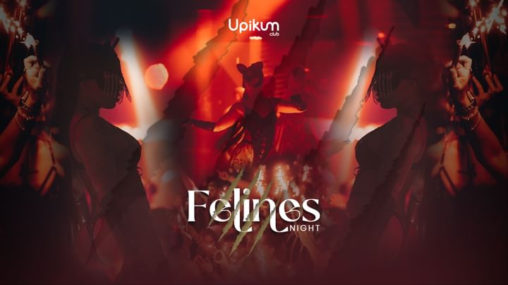 Cover for event: FELINES NIGHT