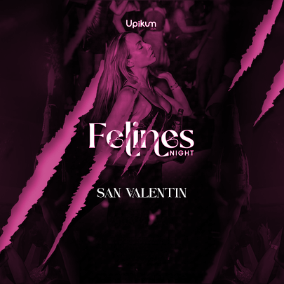 FELINES NIGHT SAN VALENTÍN  image