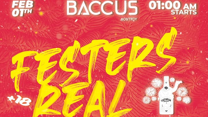 Cover for event: FESTERS REAL 2025 BACCUS NIGHT CLUB