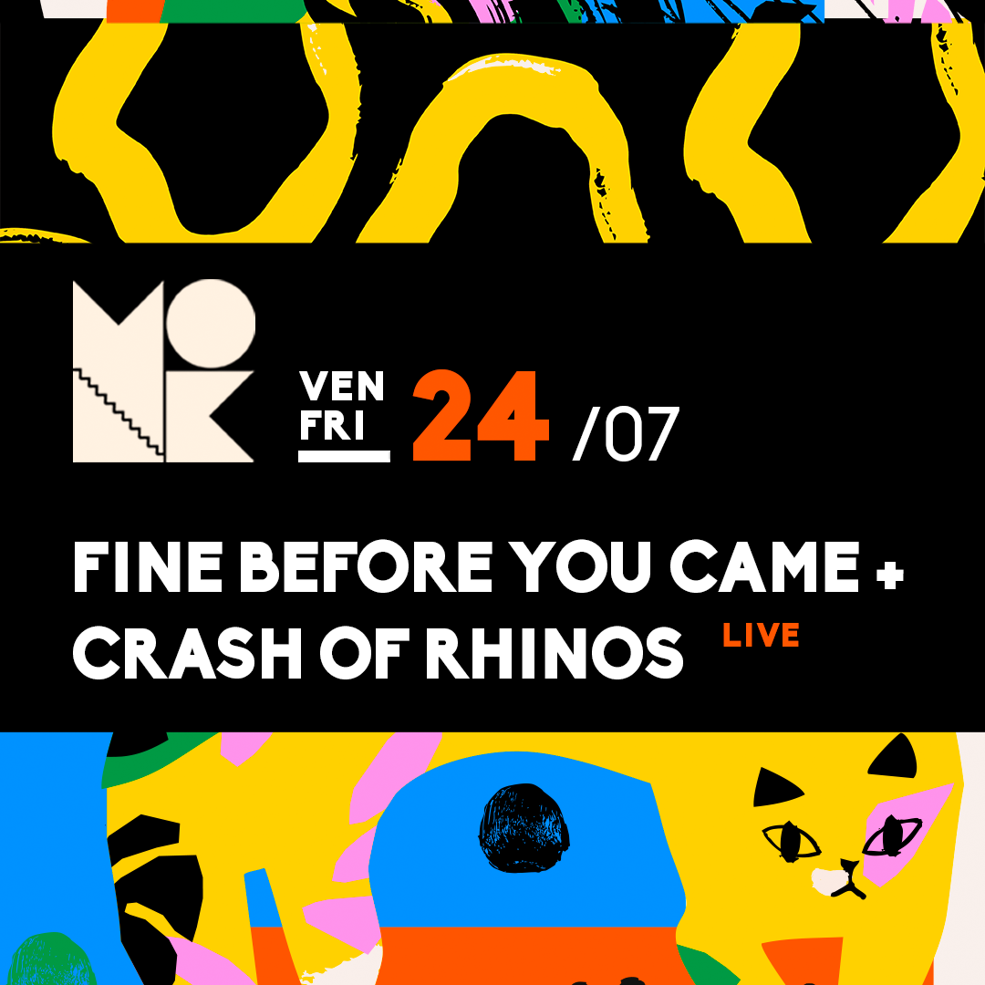 FINE BEFORE YOU CAME + CRASH OF RHINOS image