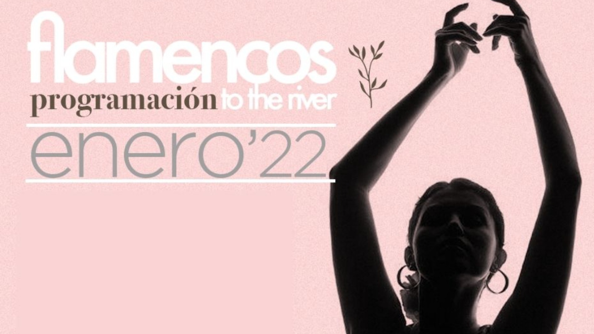 Flamencos to the river (JUEVES 20  DE ENERO)