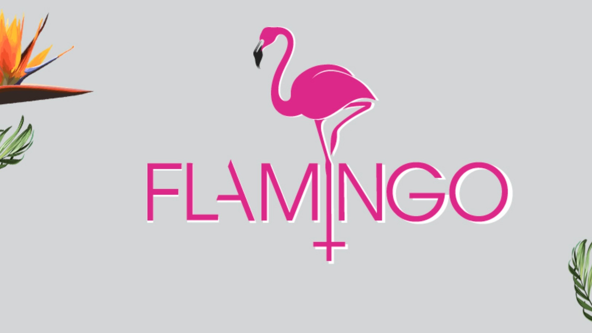 Flamingo Pool Party - SUNDAY 19th SEPTEMBER - Hotel Miramar - Powered by M+SA image