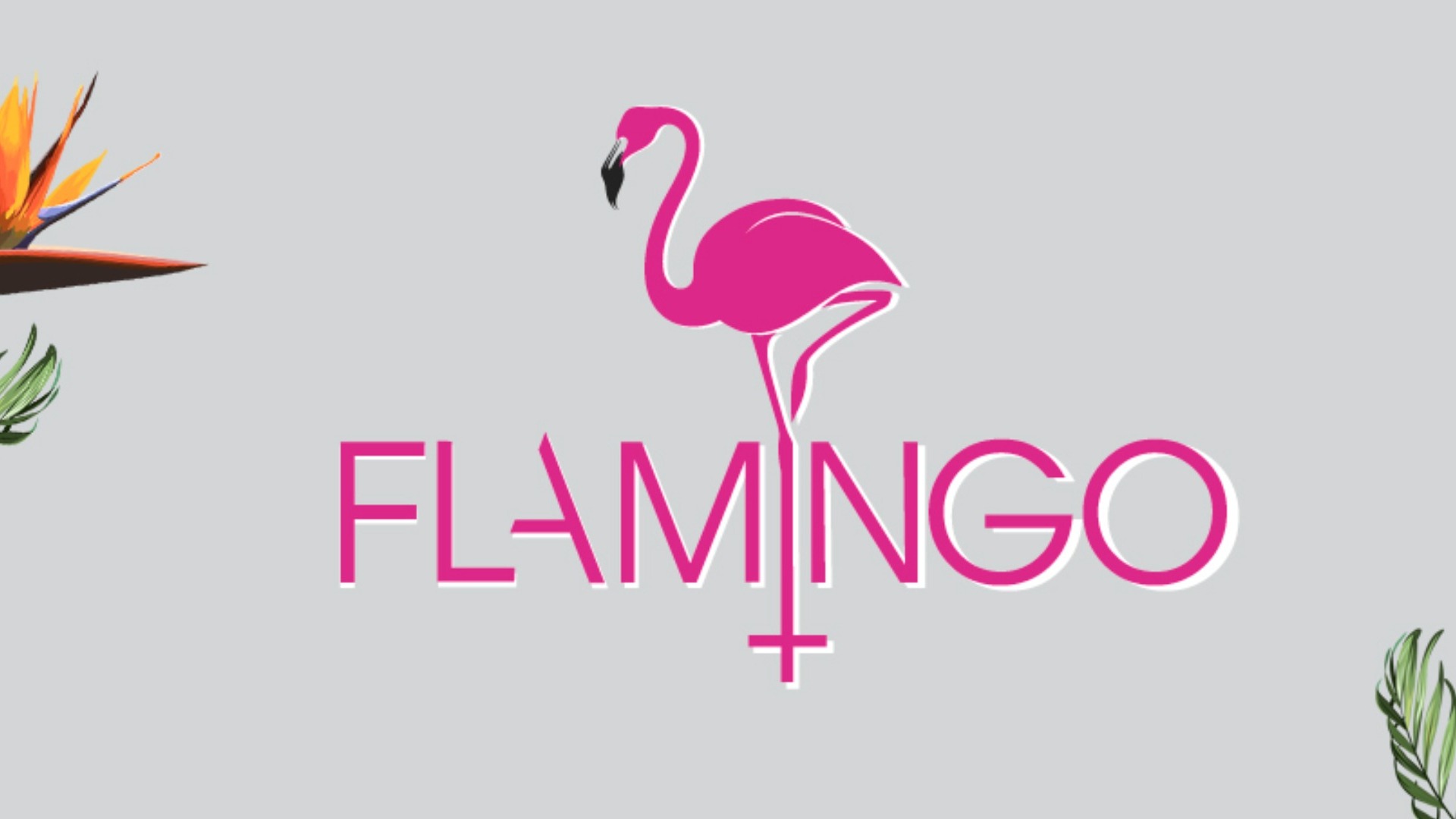 Flamingo Pool Party - SUNDAY 22th AUGUST - Hotel Miramar - Powered by M+SA image