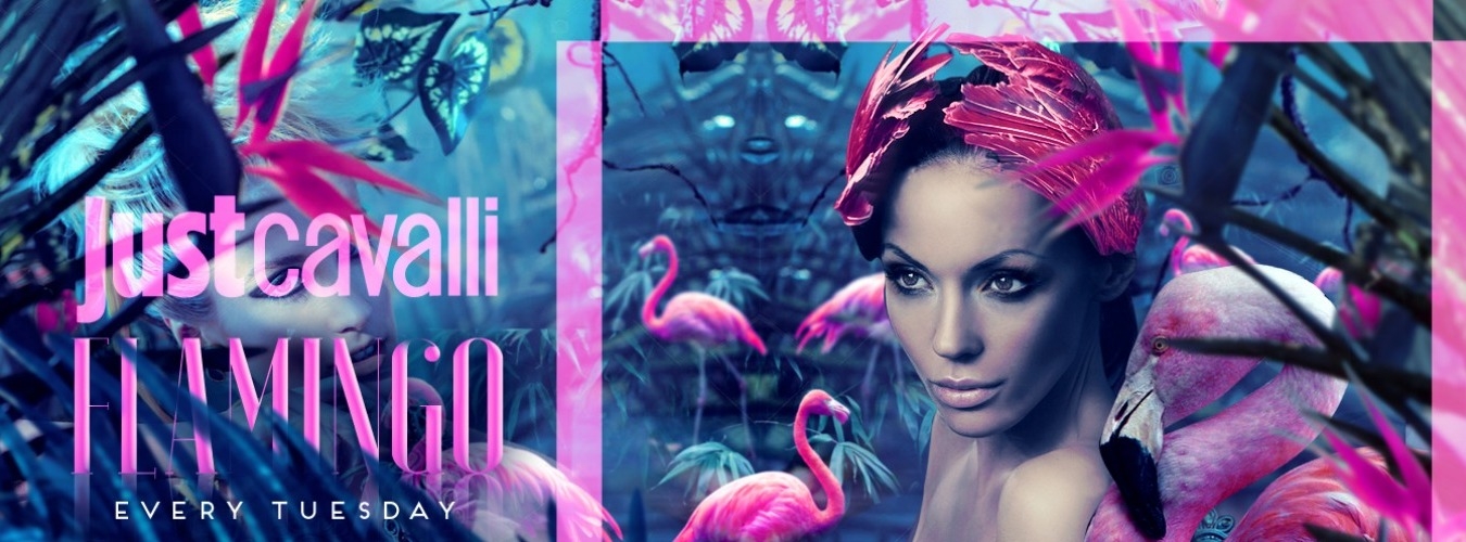 FLAMINGO - TUESDAY NIGHT