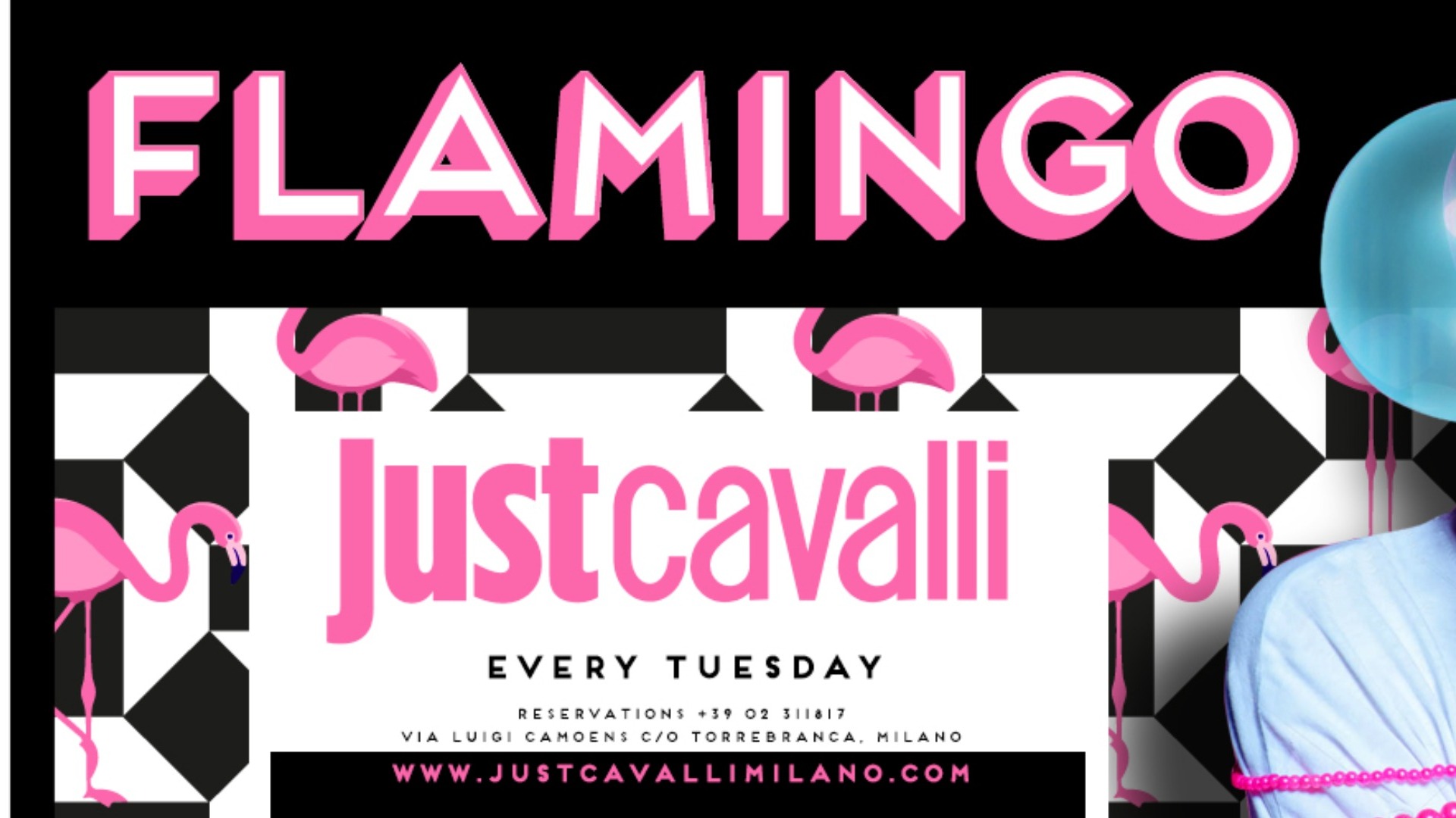 FLAMINGO - TUESDAY NIGHT