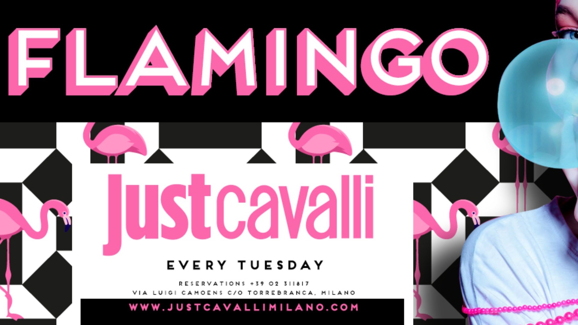 FLAMINGO - TUESDAY NIGHT