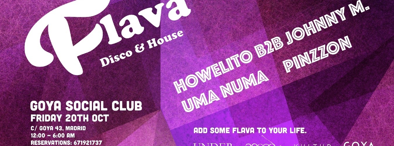 Flava - Disco & House image