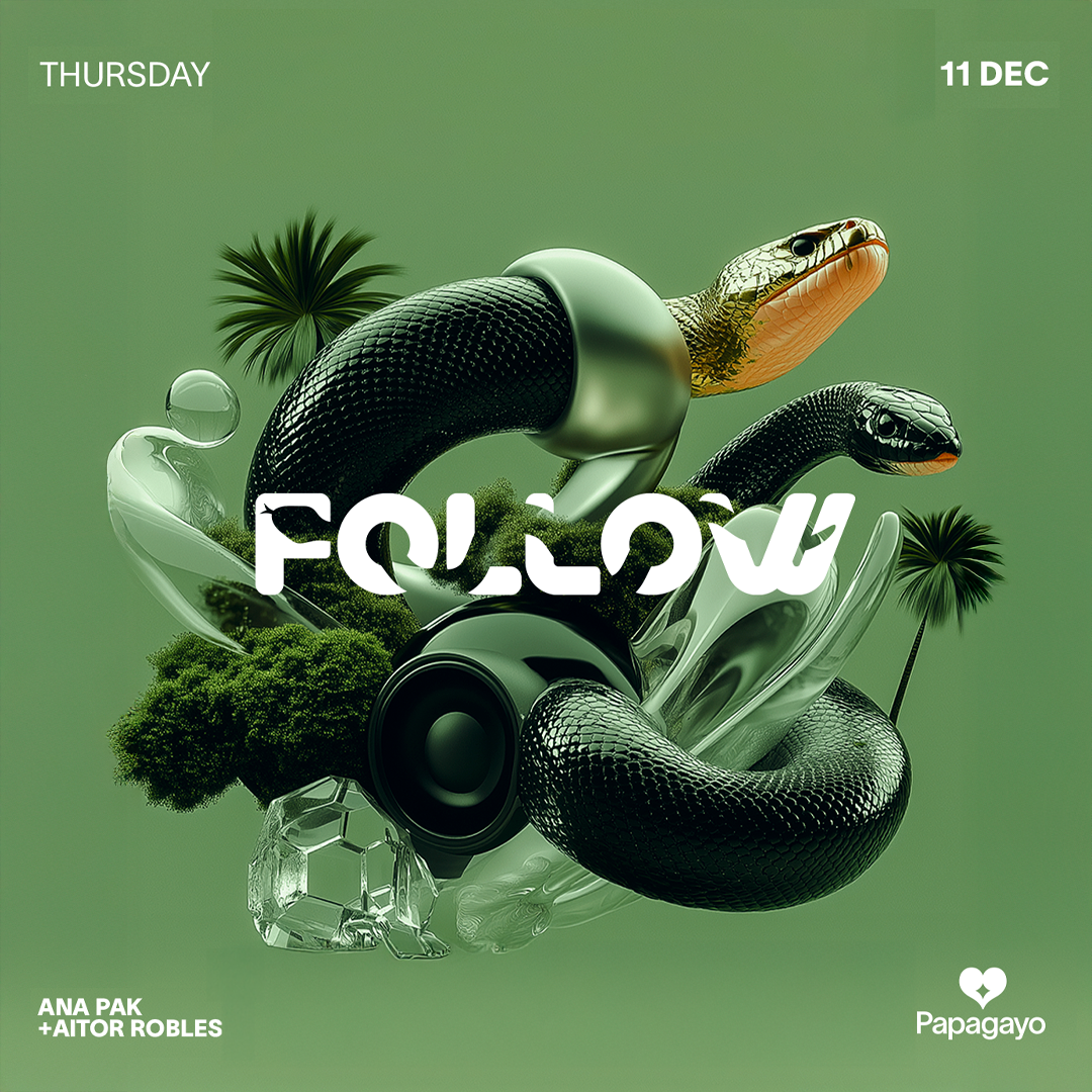 Follow · Thu. 11th December 2025 image