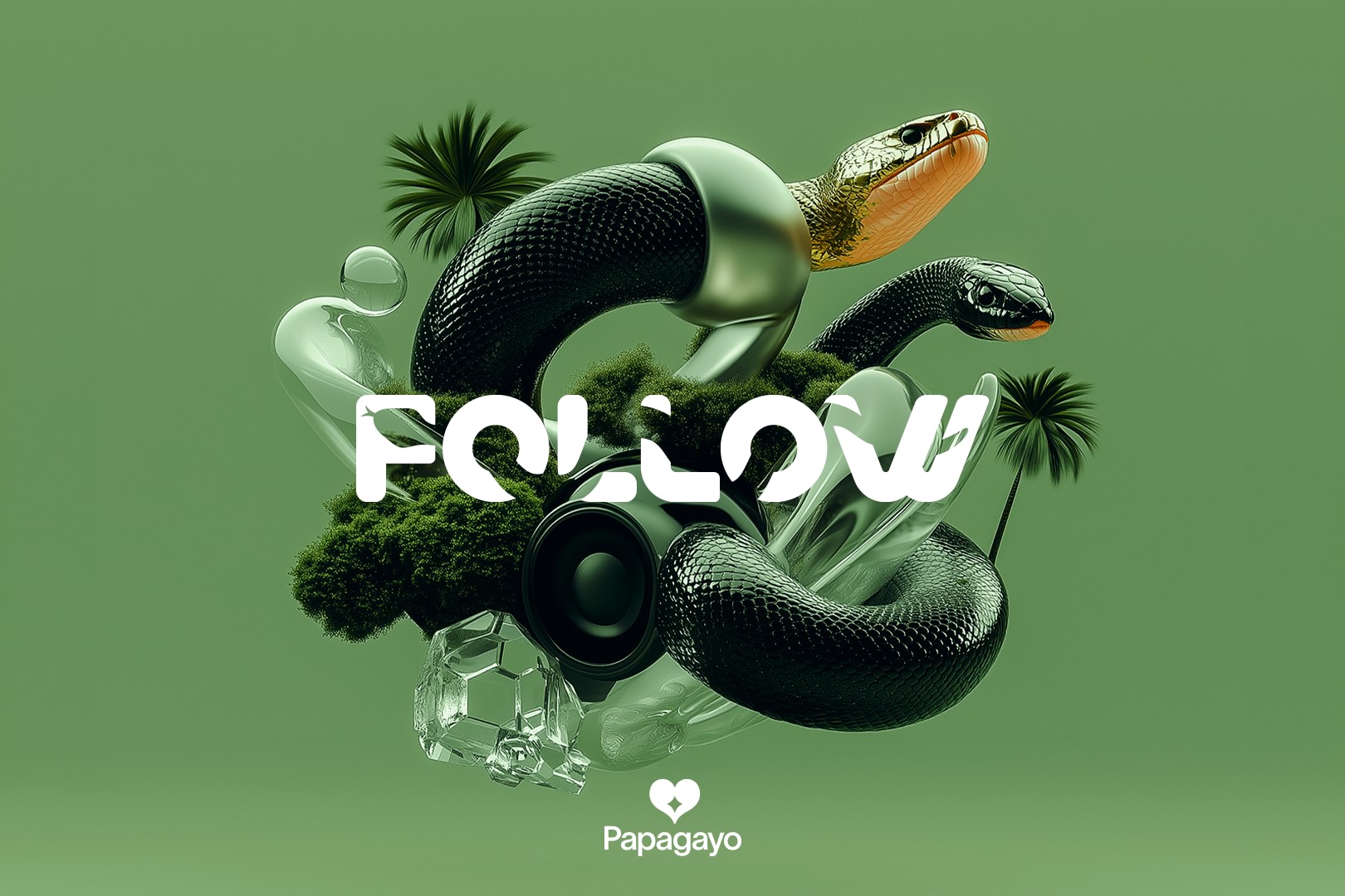 Follow · Thu. 11th December 2025 image