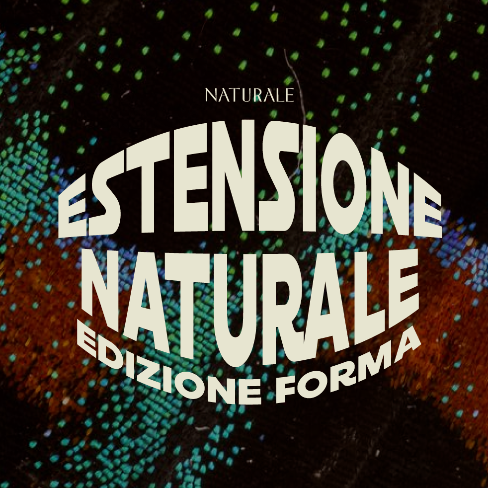 Forma x ESTENSIONE NATURALE image