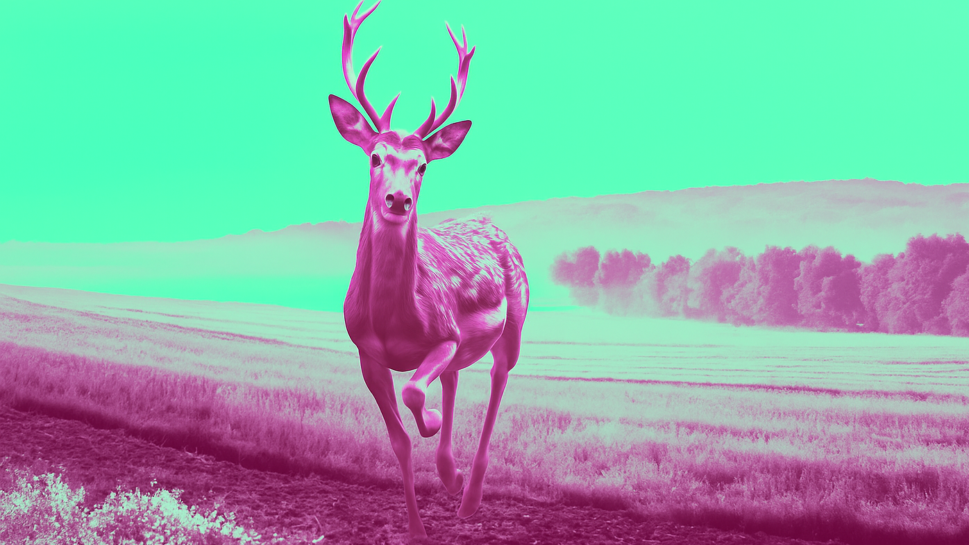 Frame @Frau Holle image