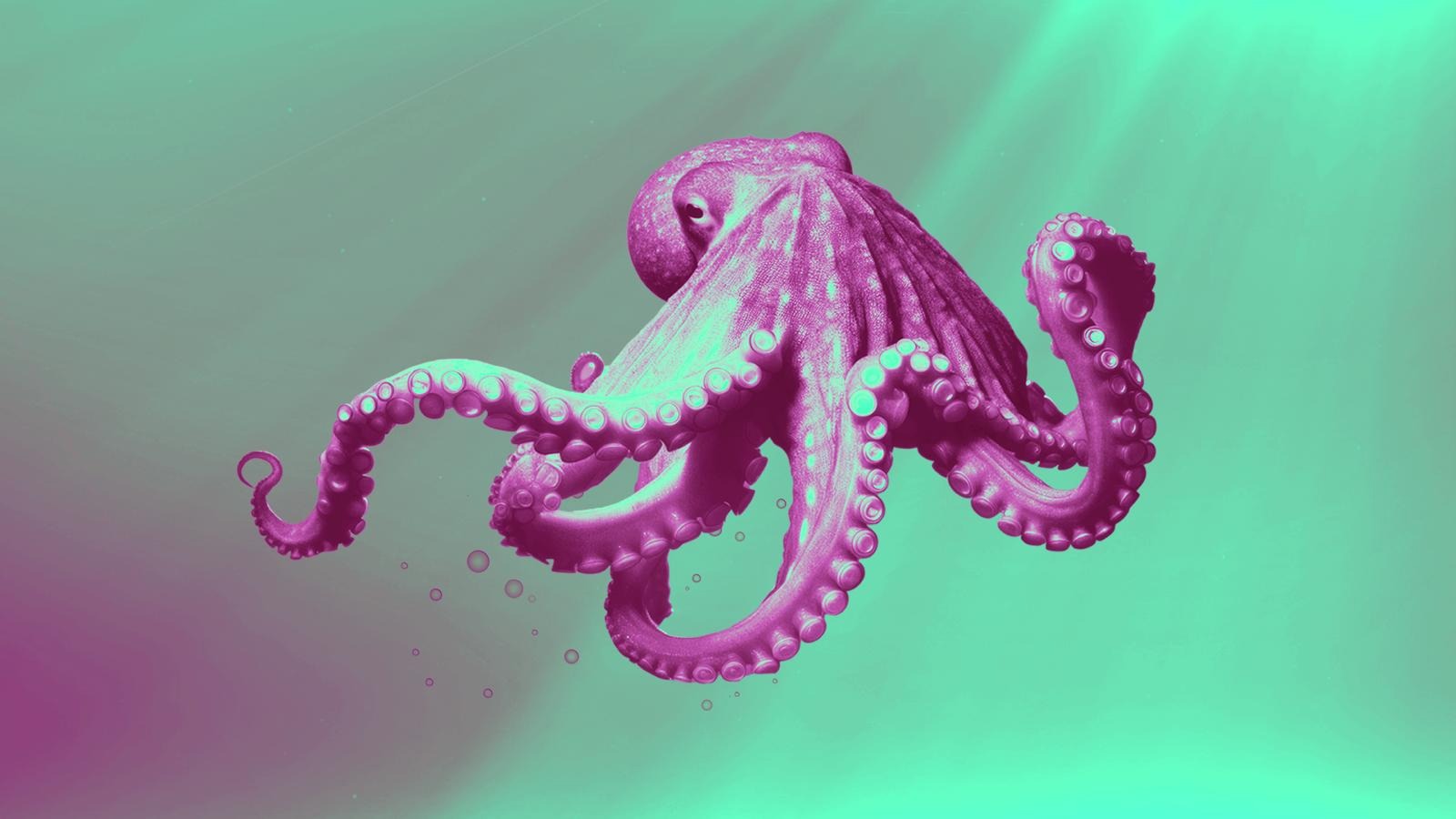 Frame @Frau Holle image