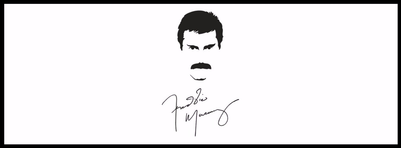 Freddie Rocks 2016 image