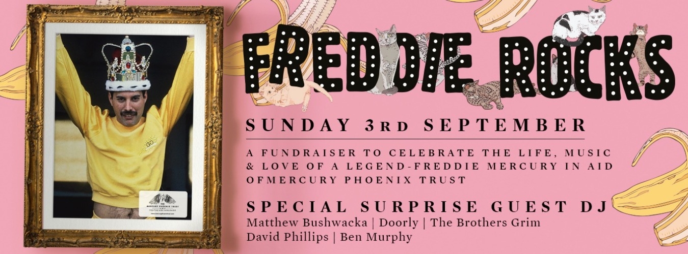 Freddie Rocks 2017 image