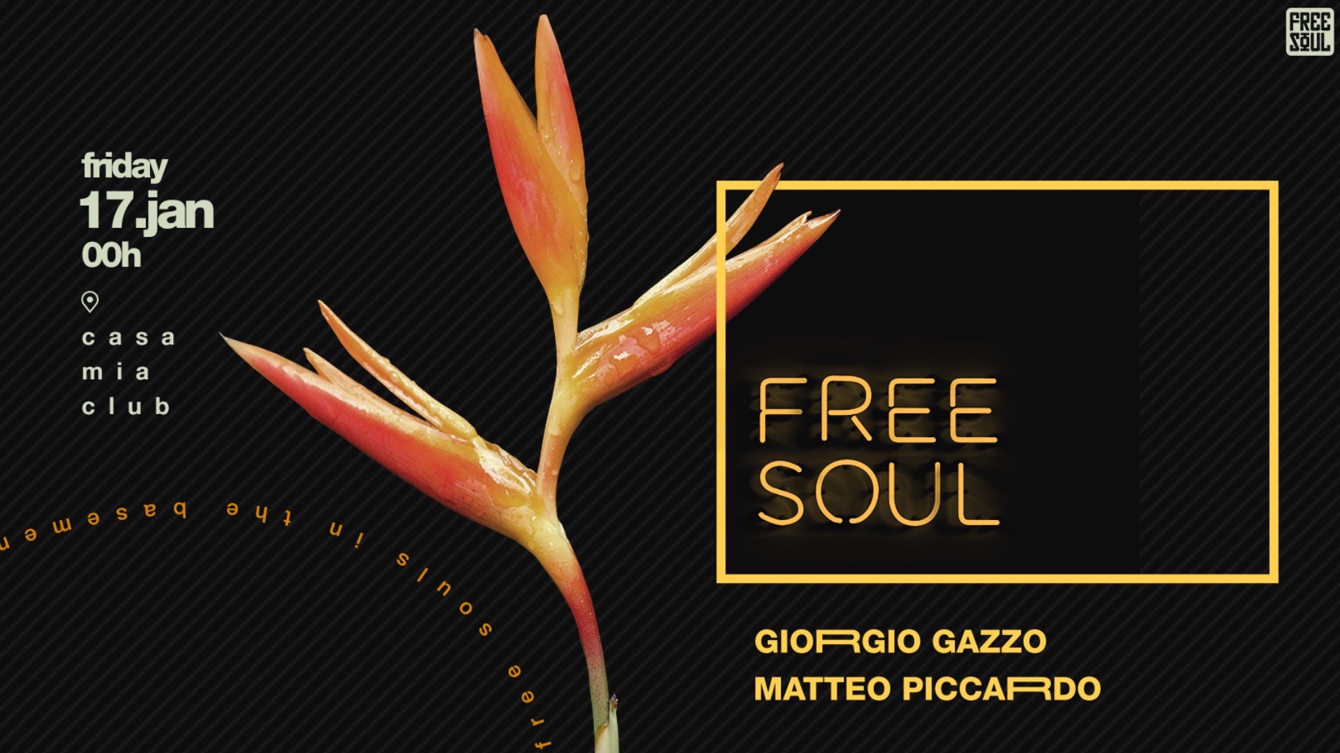 Free Soul | Giorgio Gazzo & Matteo Piccardo image