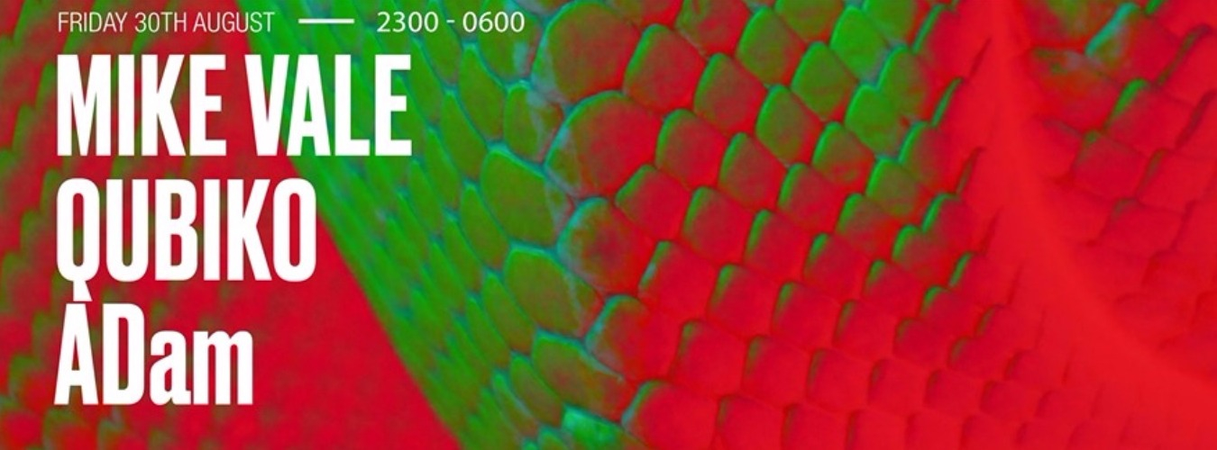 Fridays at EGG: Mike Vale, Qubiko, Adam and More image