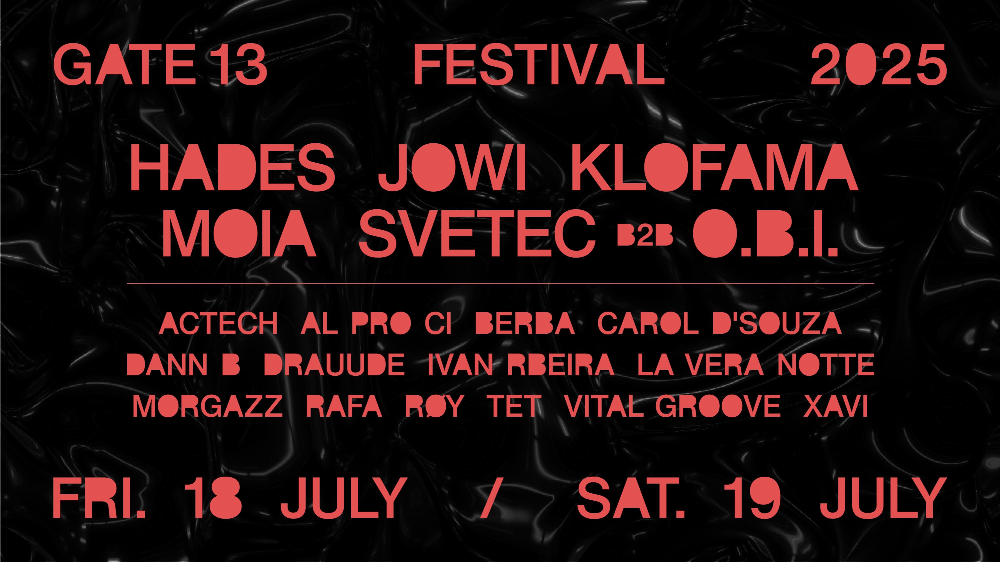 GATE13 FESTIVAL 2025 image