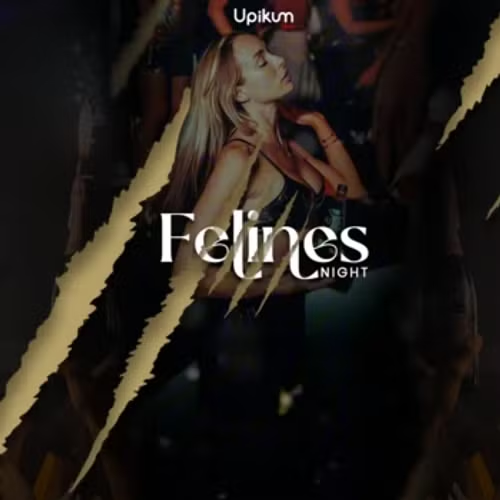 FELINES NIGHT  image