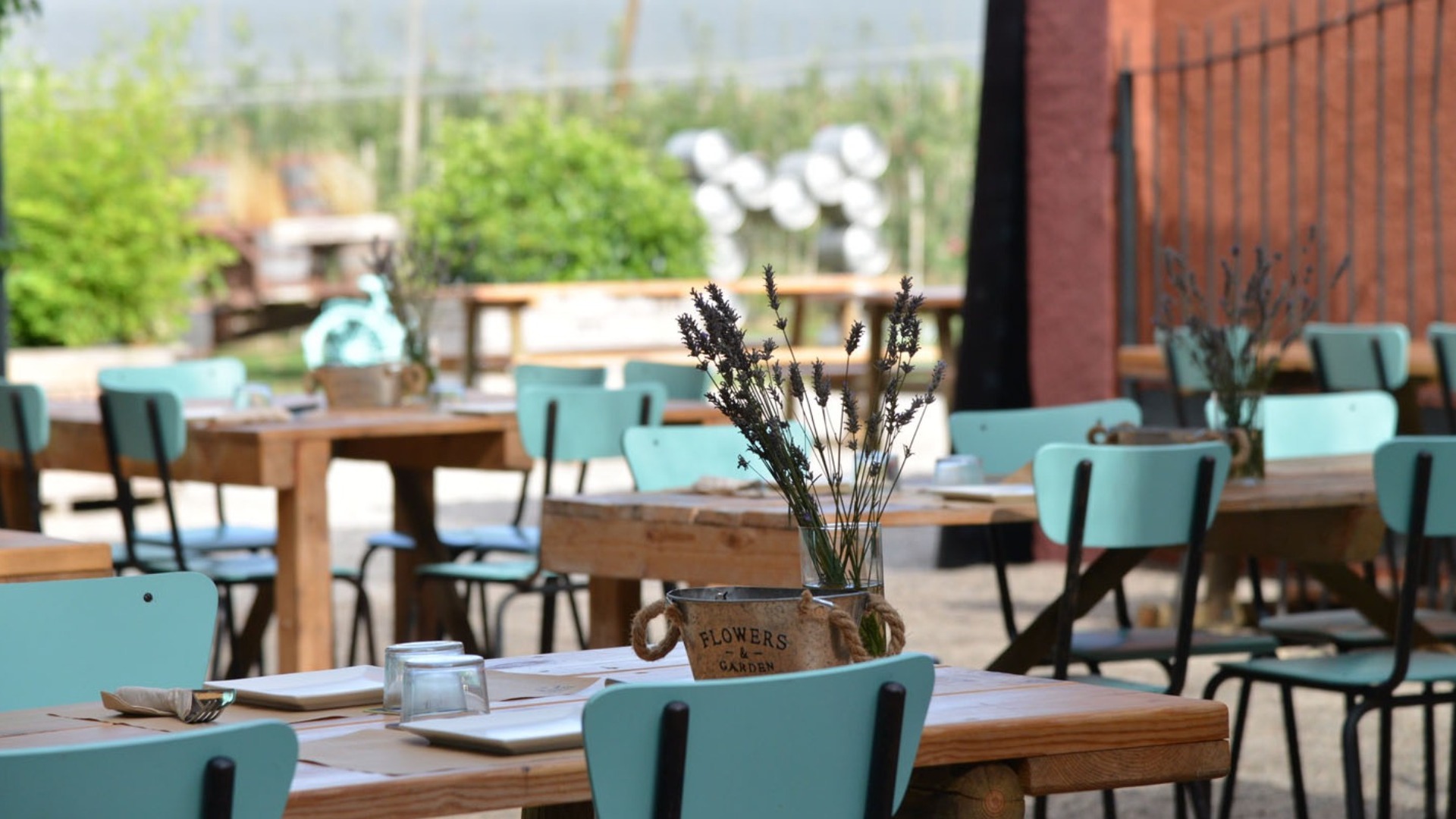 GironaMentSana 15/08 image