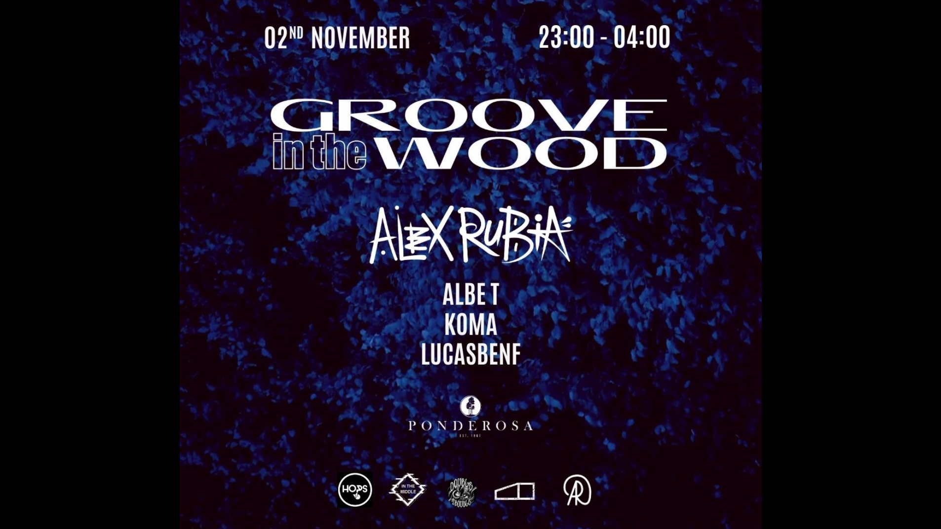Groove In The Wood - Alex Rubia image
