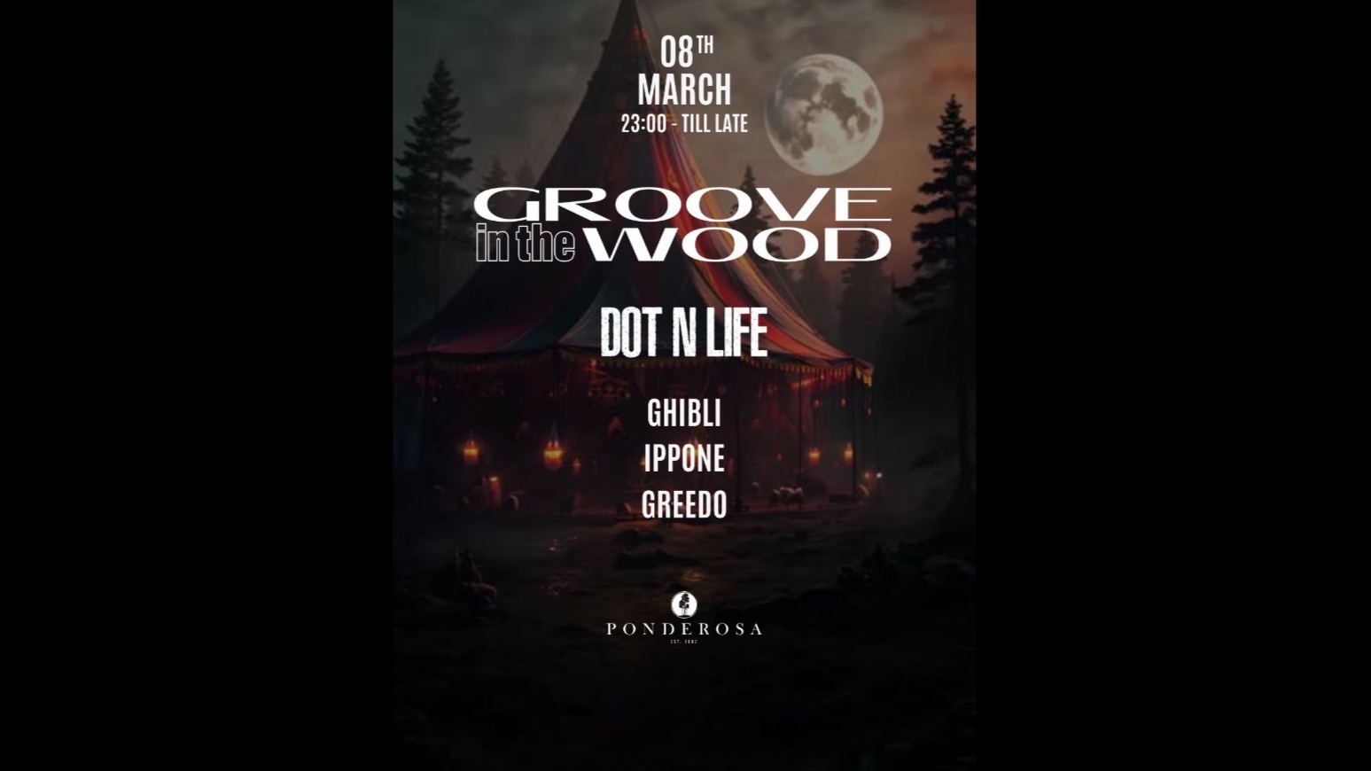 Groove in the Wood - Dot N Life image