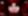 Cover for event: Halloween x La Loka · Vie. 31 Oct 2025