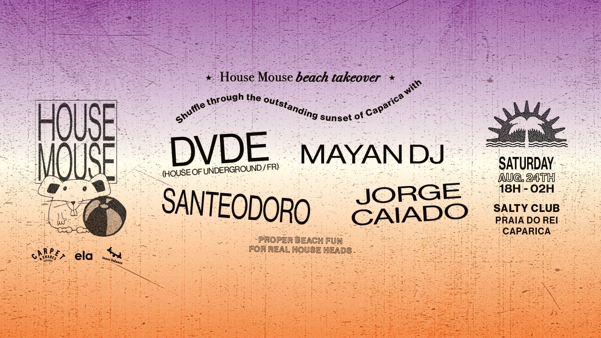 House Mouse Beach Takeover with DVDE image