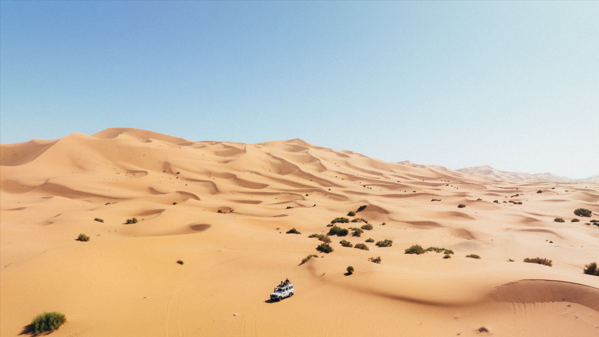 IE Spring 27 to 31 march 25 image