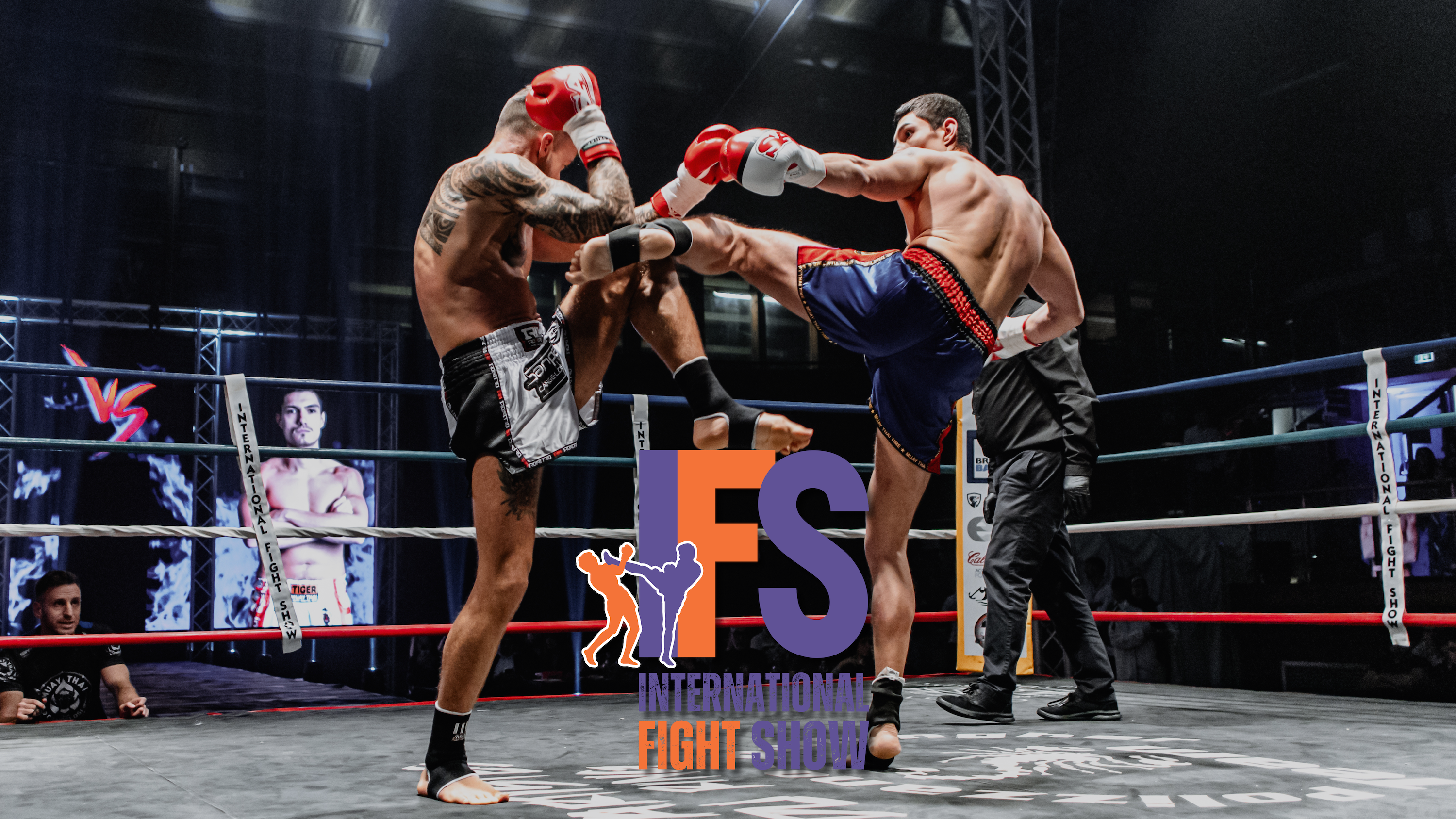 IFS - International Fight Show image