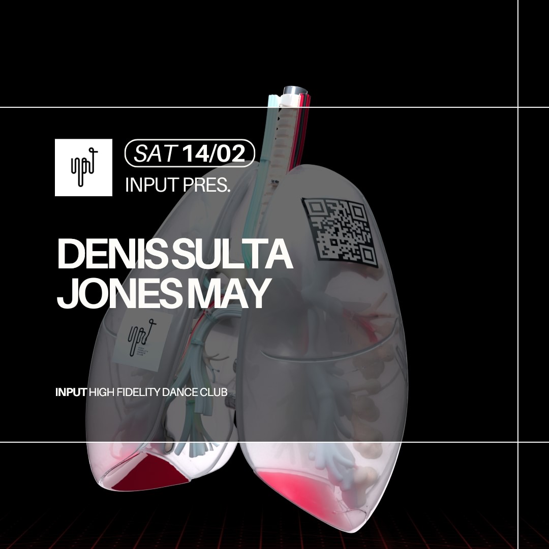 INPUT pres. DENIS SULTA image