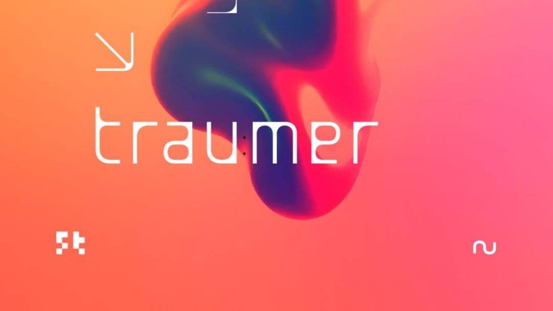 Copertina evento INPUT pres TRAUMER All Night Long