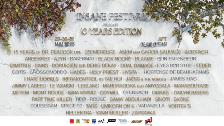 Cover for event: INSANE FESTIVAL 2025