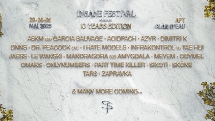 Cover for event: INSANE FESTIVAL 2025