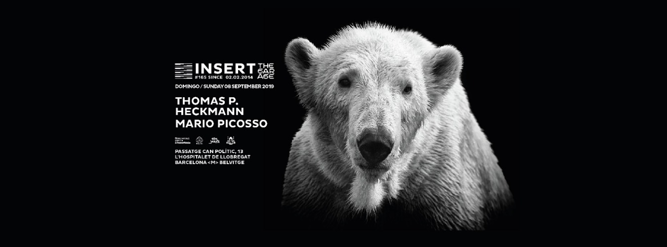 INSERT #165 pres.THOMAS P. HECKMANN & MARIO PICOSSO [The Garage of Bass valley] image