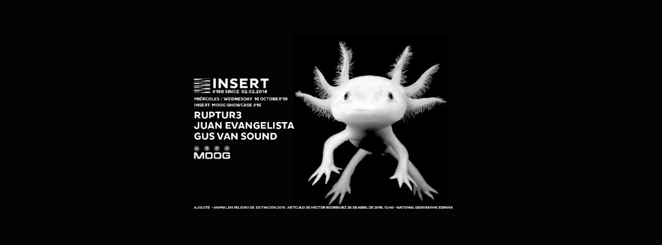 Insert168 Moog Showcase16 pres. Ruptur3, Juan Evangelista & Gus Van Sound image
