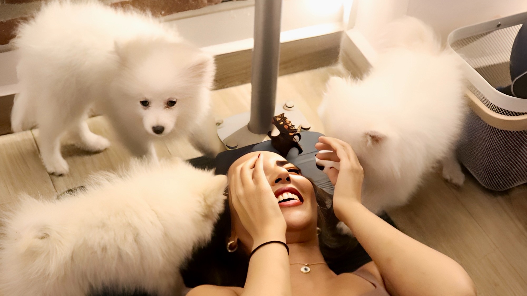 JOMO LIFE - Puppy Yoga  image