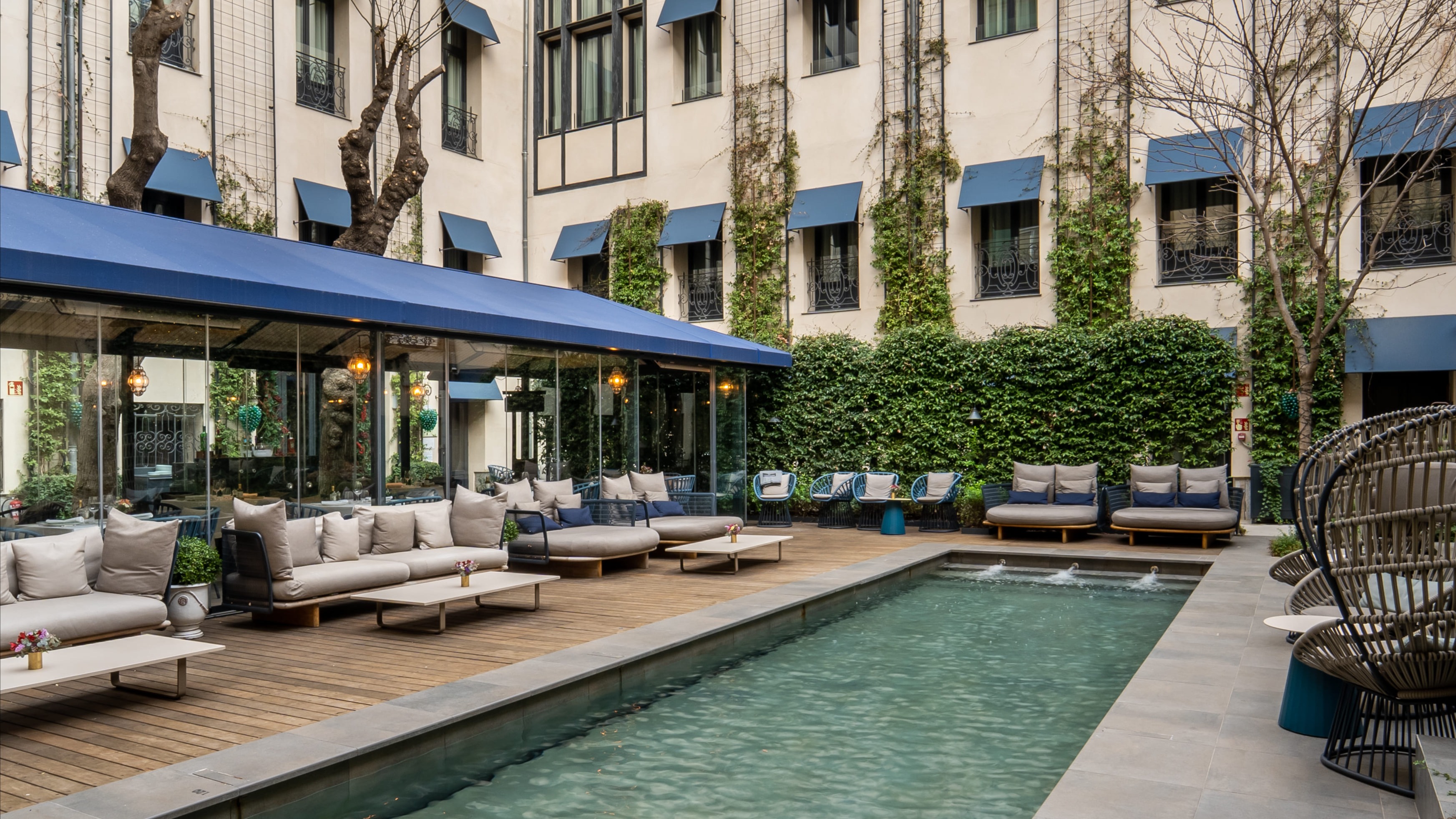 Jomo's Sunset Garden  image