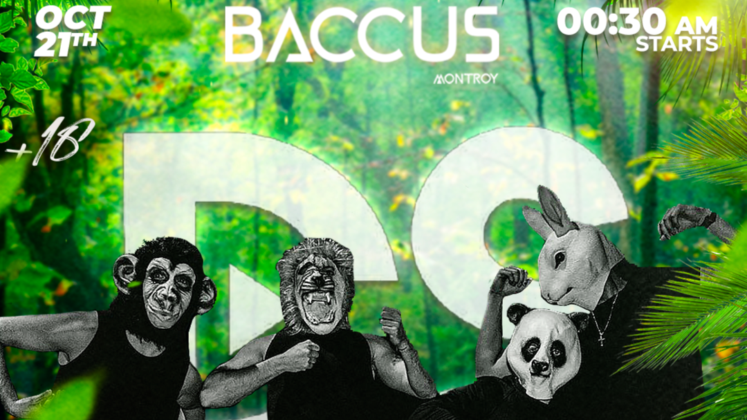 JUNGLE PARTY BY DISCOSOUND BACCUS NIGHT CLUB image