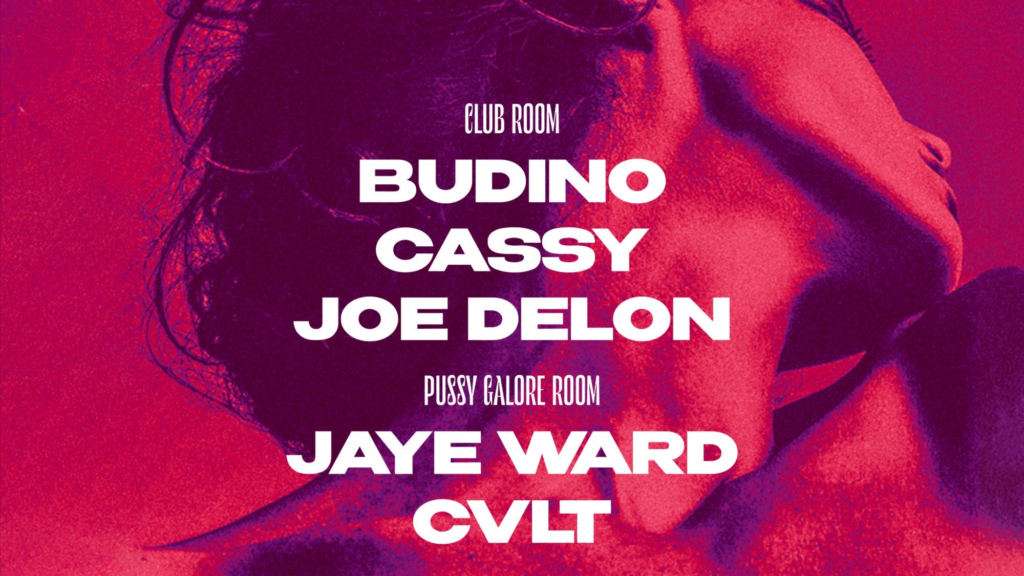 JUST LOOK PARADISE W/ CASSY & BUDINO image