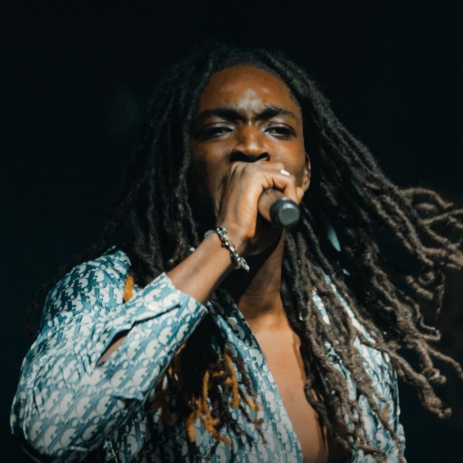 LA RVFLEUSE EN SHOWCASE A L'HORIZON image