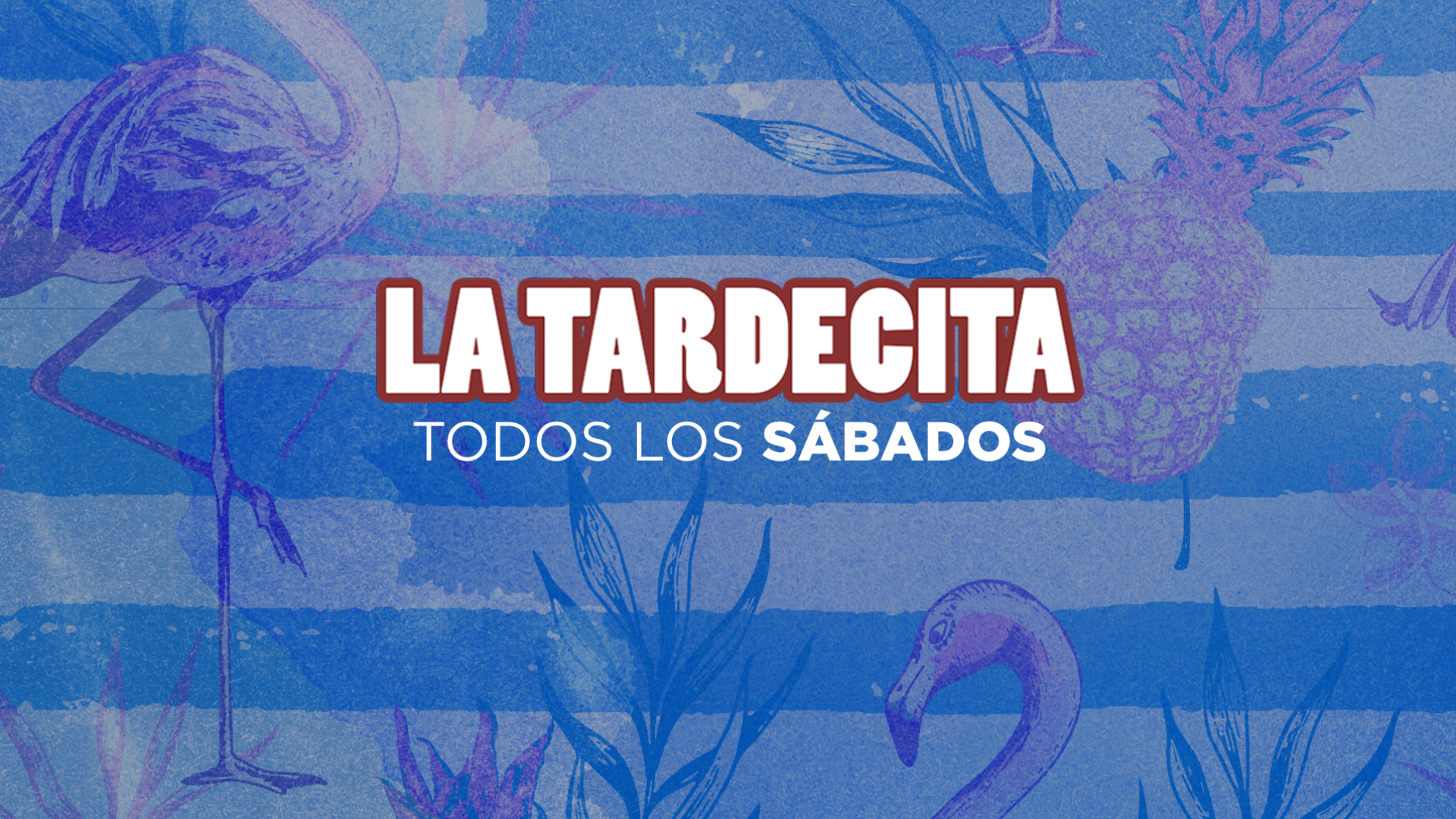 La Tardecita - La Tomasa image