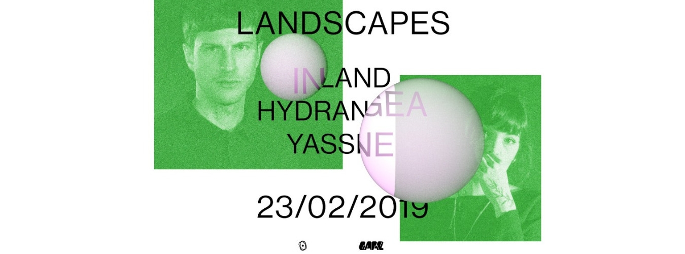 Landscapes w/ Inland, Hydrangea, Yassine image